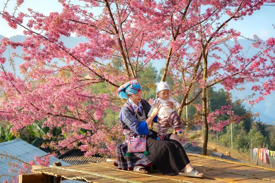 Hướng dẫn chi tiết chăm sóc vết mổ sau sinh mổ: Từ ngày đầu đến khi lành hẳn (Có lịch trình các bước cụ thể)