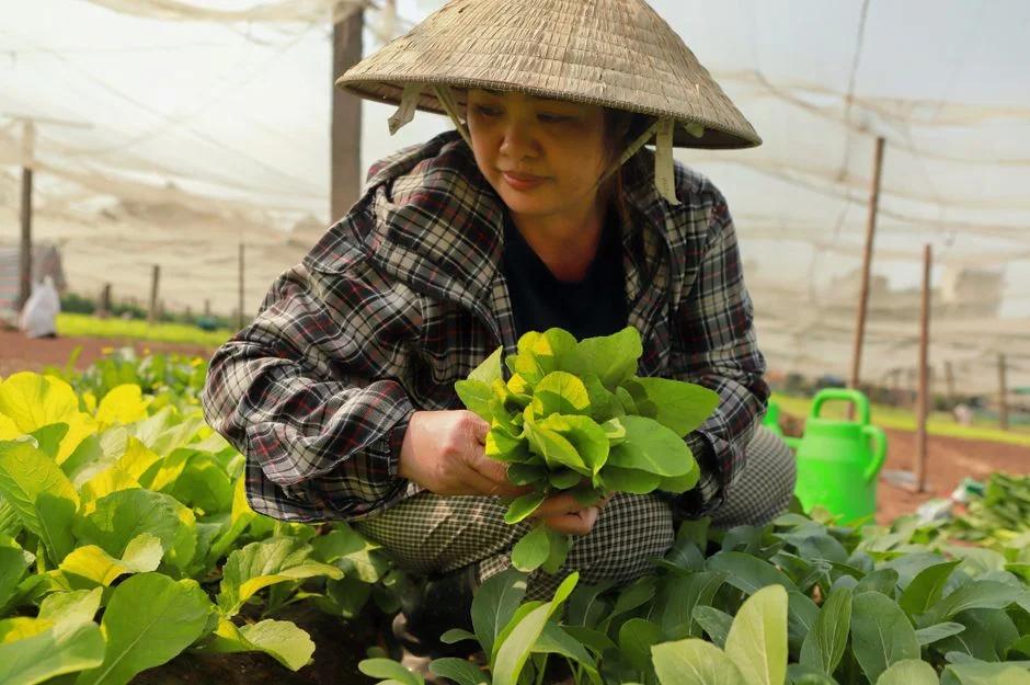 Bổ sung axit folic trước khi mang thai: Liều lượng chuẩn, thời điểm vàng và thực phẩm giàu folate cho mẹ Việt